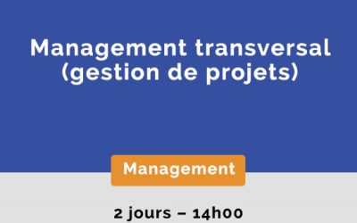 Management transversal (gestion de projets)