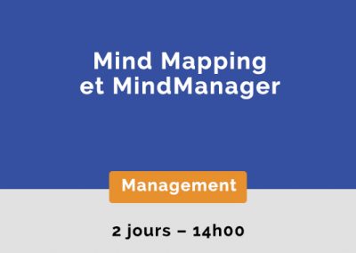 Mind Mapping et MindManager