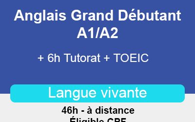 Anglais Grand Débutant A1/A2 + 6h Tutorat + TOEIC